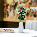 Levni Handwritten Collection By Accor 4*