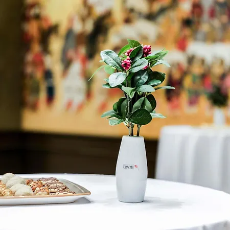 Отель Levni Handwritten Collection By Accor 4*