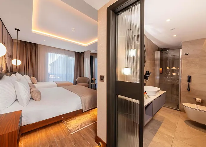 Levni Handwritten Collection By Accor Otel